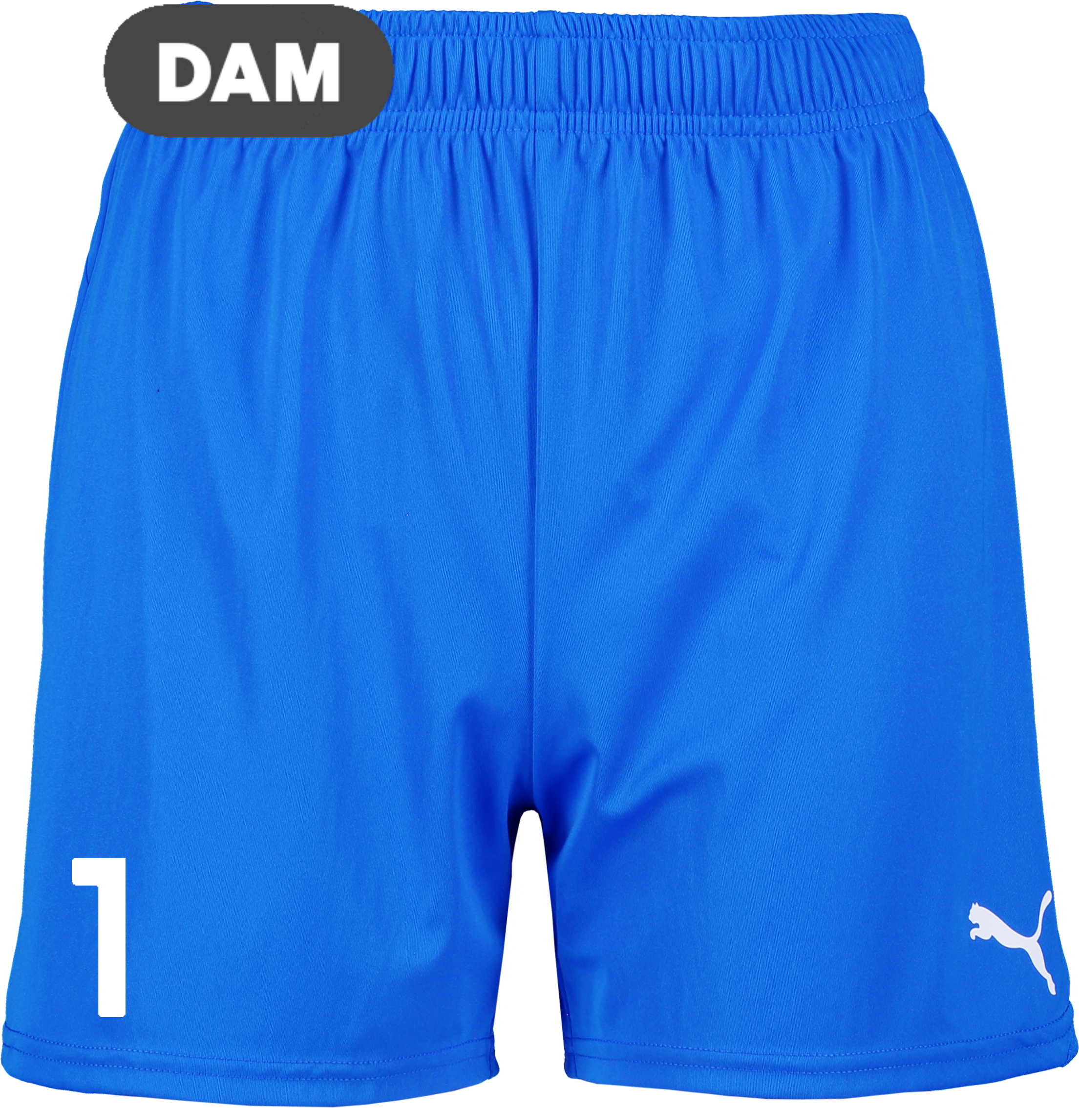 
PUMA, 
T Goal Shorts Wmns, 
Detail 1
