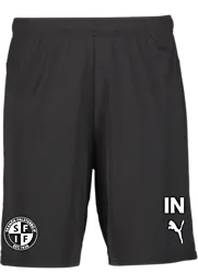 392286103101 PUMA T Goal Shorts Jr 392286103101 PUMA T Goal Shorts Jr Standard Small1x1
