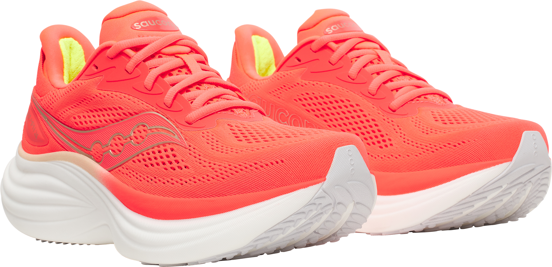 SAUCONY, W TRIUMPH 24