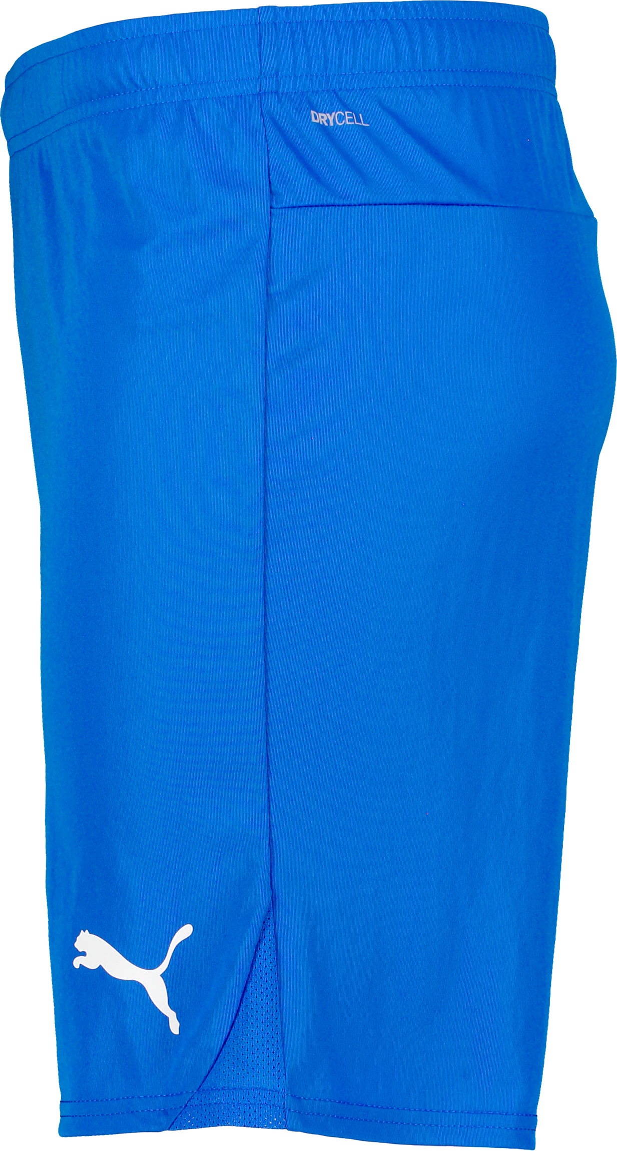 PUMA, T Goal Shorts Jr