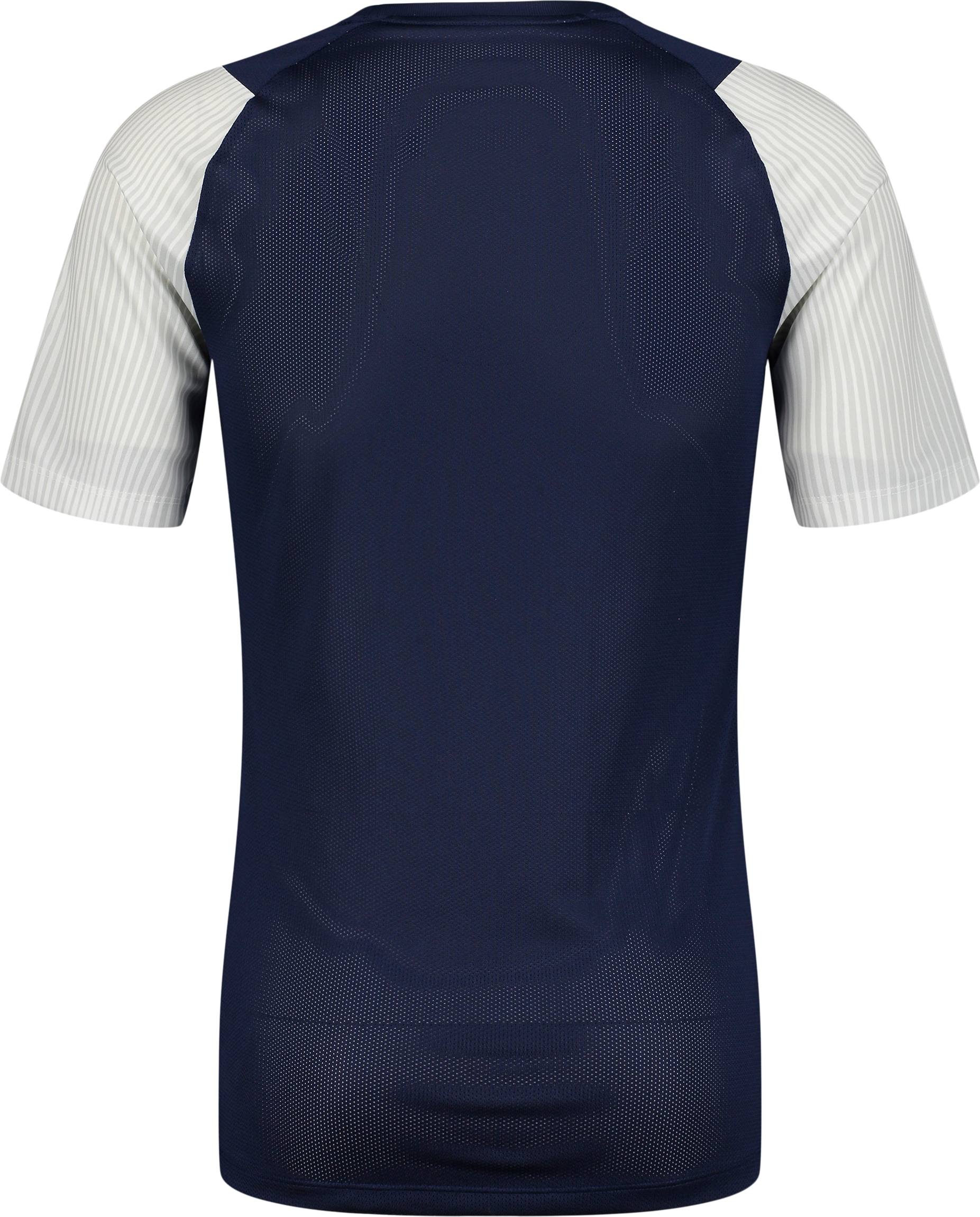 NIKE, ACADEMY II SS JSY