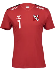 393963104101 HUMMEL Authentic Pl Jersey Ss 393963104101 HUMMEL Authentic Pl Jersey Ss Standard Small1x1