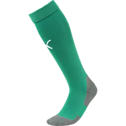 Liga Core Sock - Peppergreen/White Standard Small1x1
