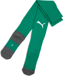 TEAMLIGA26 CORE SOCK - SPORT GREEN Standard Small1x1