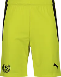 361521107101 PUMA T Liga Shorts Jr 361521107101 PUMA T Liga Shorts Jr Standard Small1x1
