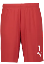 391942101101 PUMA T Goal Shorts 391942101101 PUMA T Goal Shorts Standard Small1x1