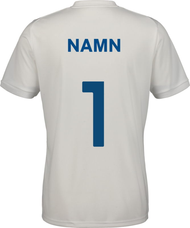 PUMA, TEAMLIGA26 MATCHDAY JERSEY