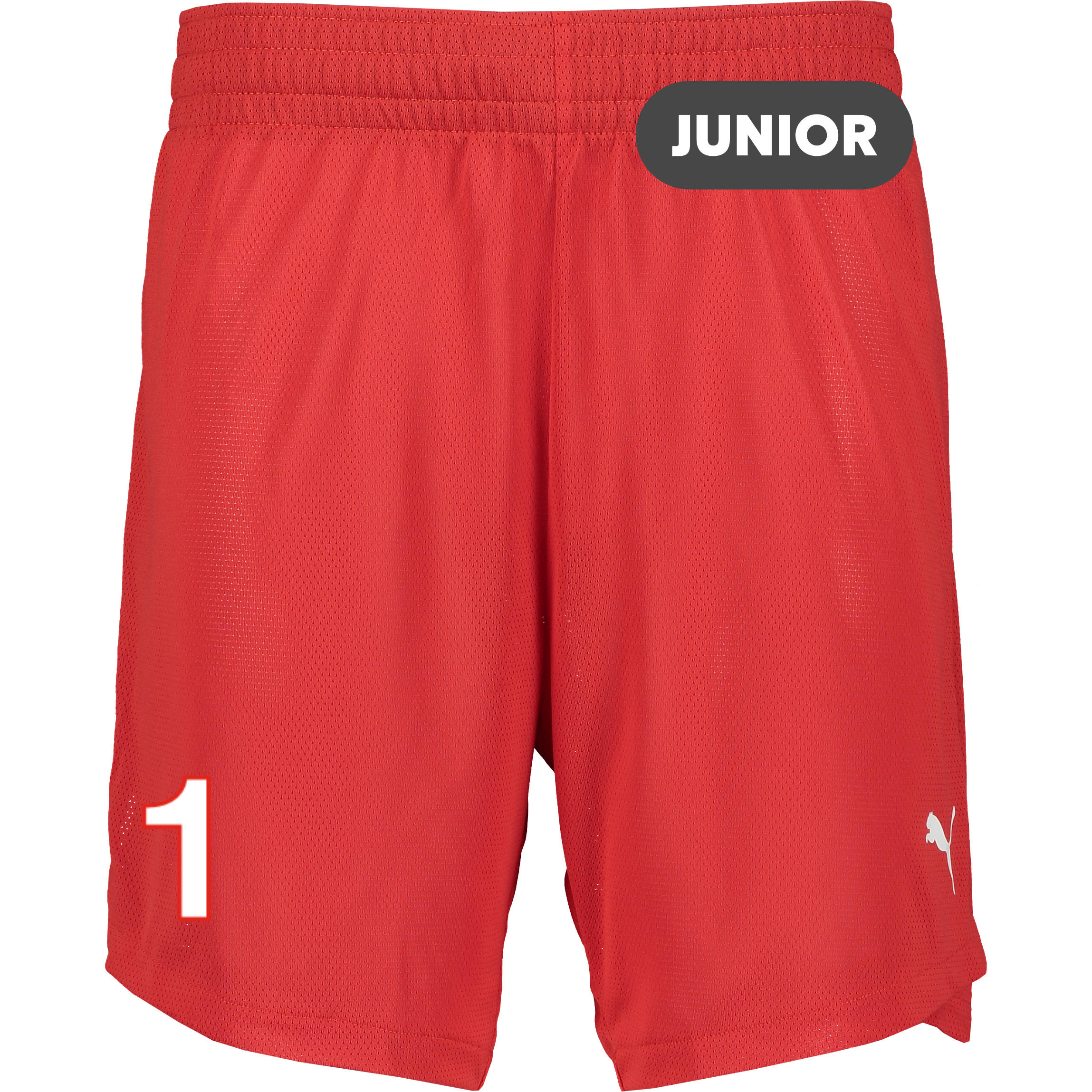 
PUMA, 
TEAMJAWS PRACTICE SHORTS JR, 
Detail 1
