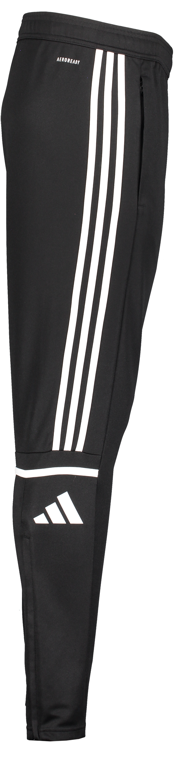 ADIDAS, Squad25 Tr Pnt Jr