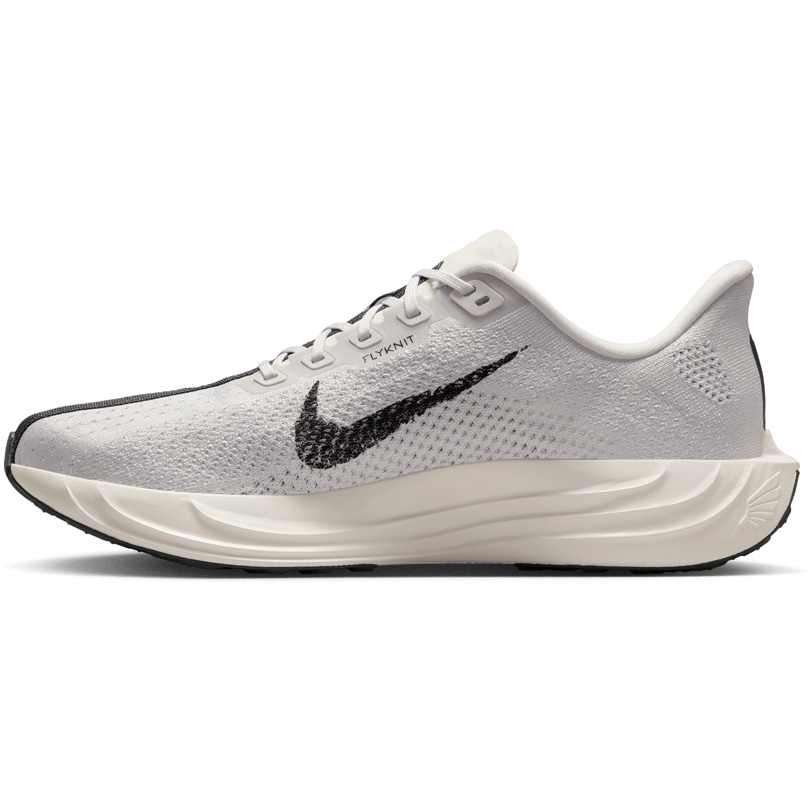 NIKE, M Pegasus Plus