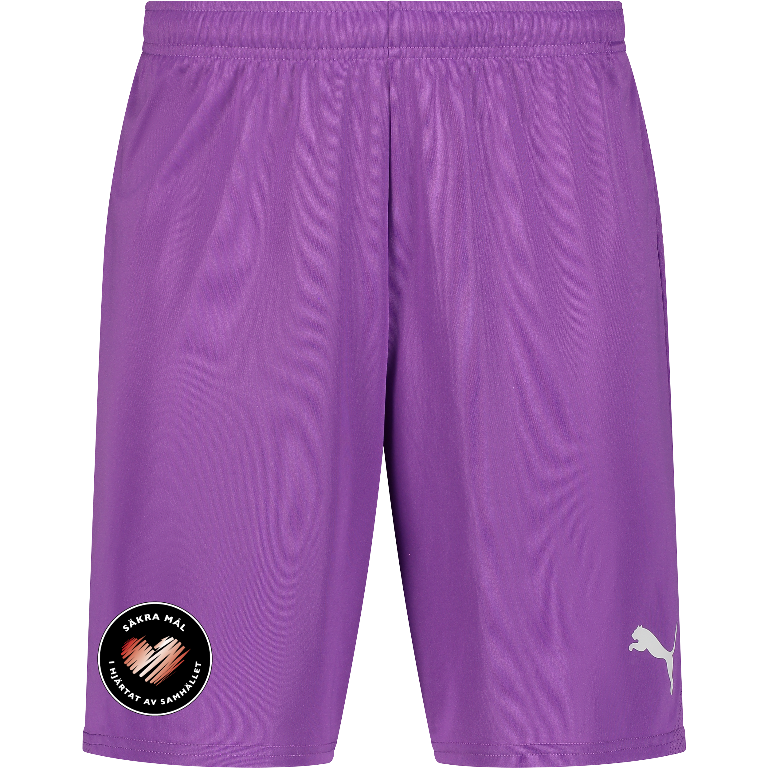 
PUMA, 
T Goal Shorts, 
Detail 1
