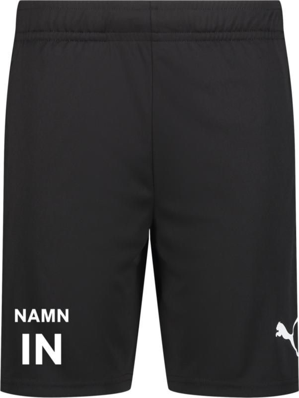 
PUMA, 
TEAMLIGA TRAINING SHORTS, 
Detail 1
