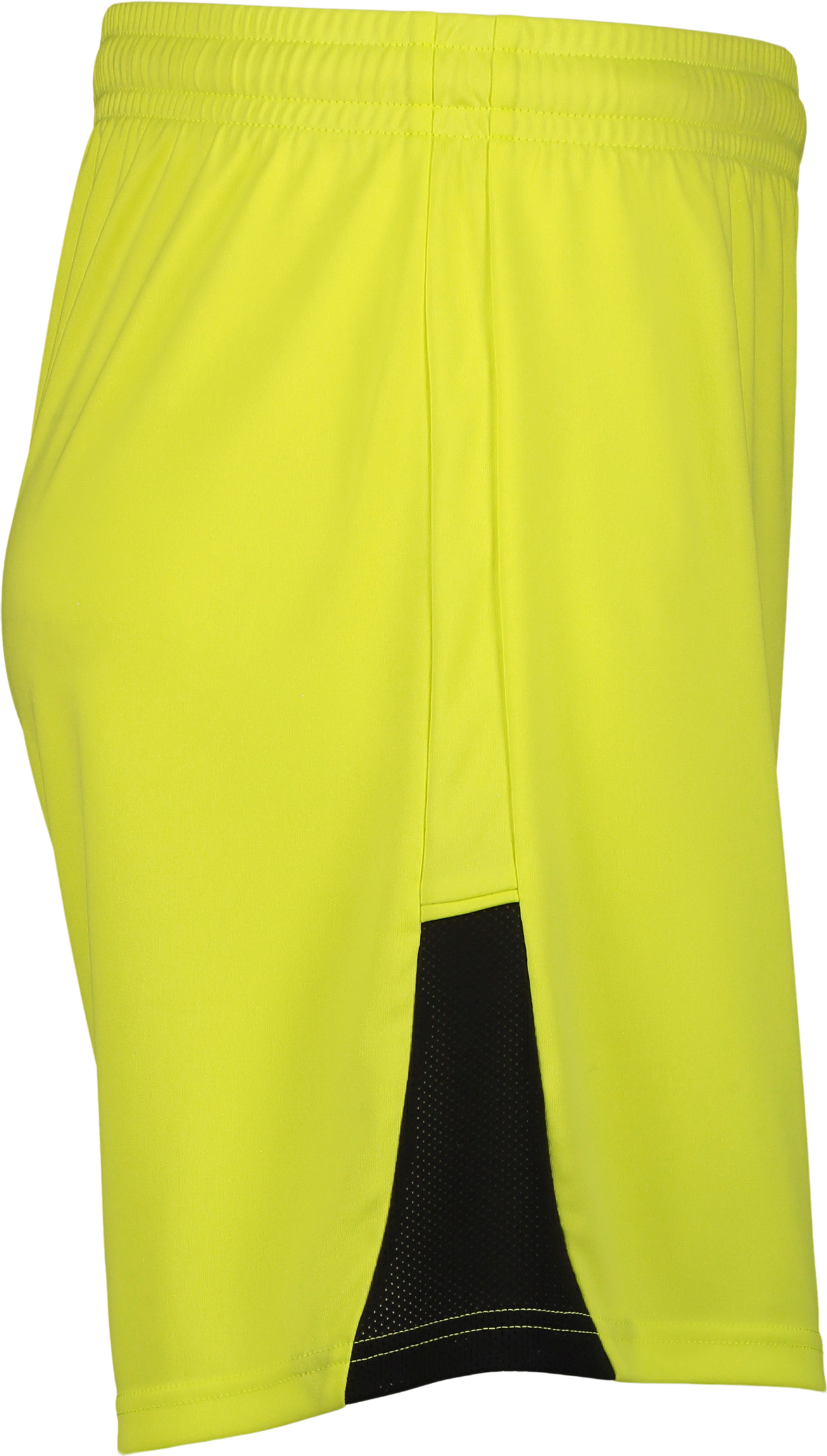PUMA, TEAMLIGA26 SHORTS