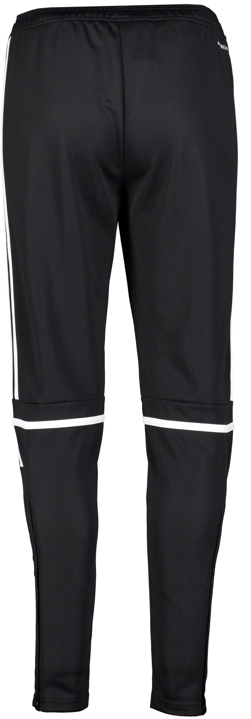 ADIDAS, Squad25 Tr Pnt W
