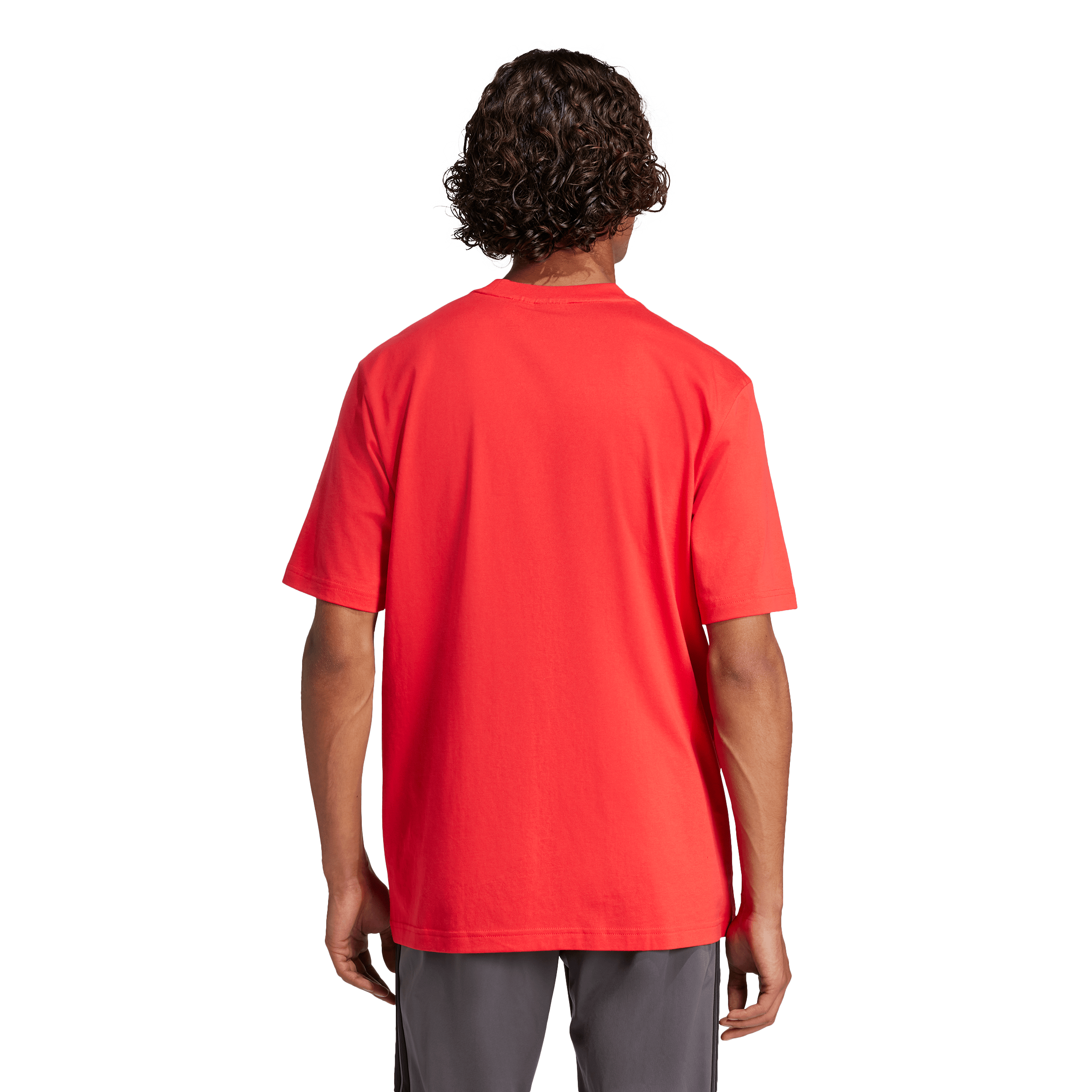 ADIDAS, M Lin Sj Tee