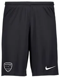 298936101101 NIKE Park III Short 298936101101 NIKE Park III Short Standard Small1x1