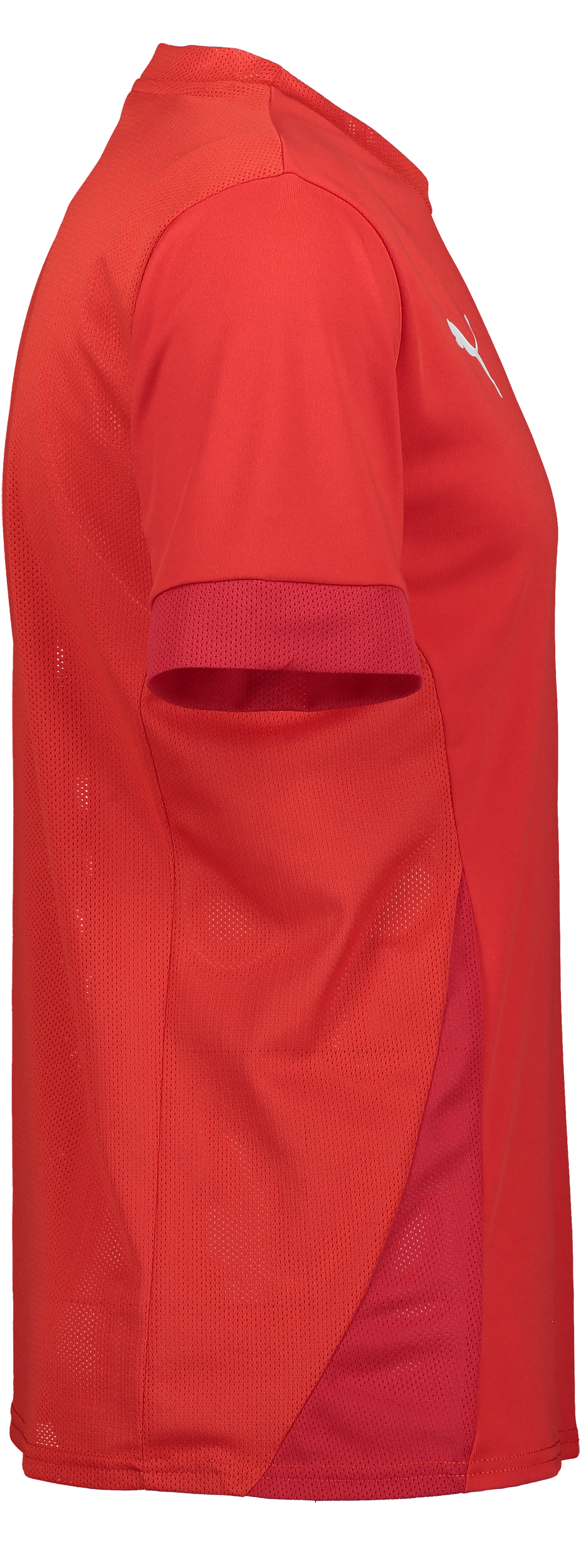 PUMA, T Goal Matchday Jsy Jr