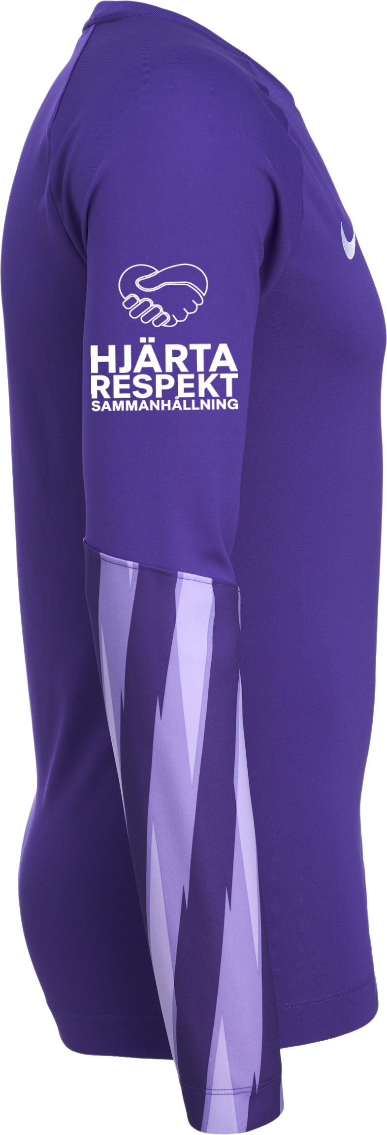 NIKE, PARK V GK LS JSY