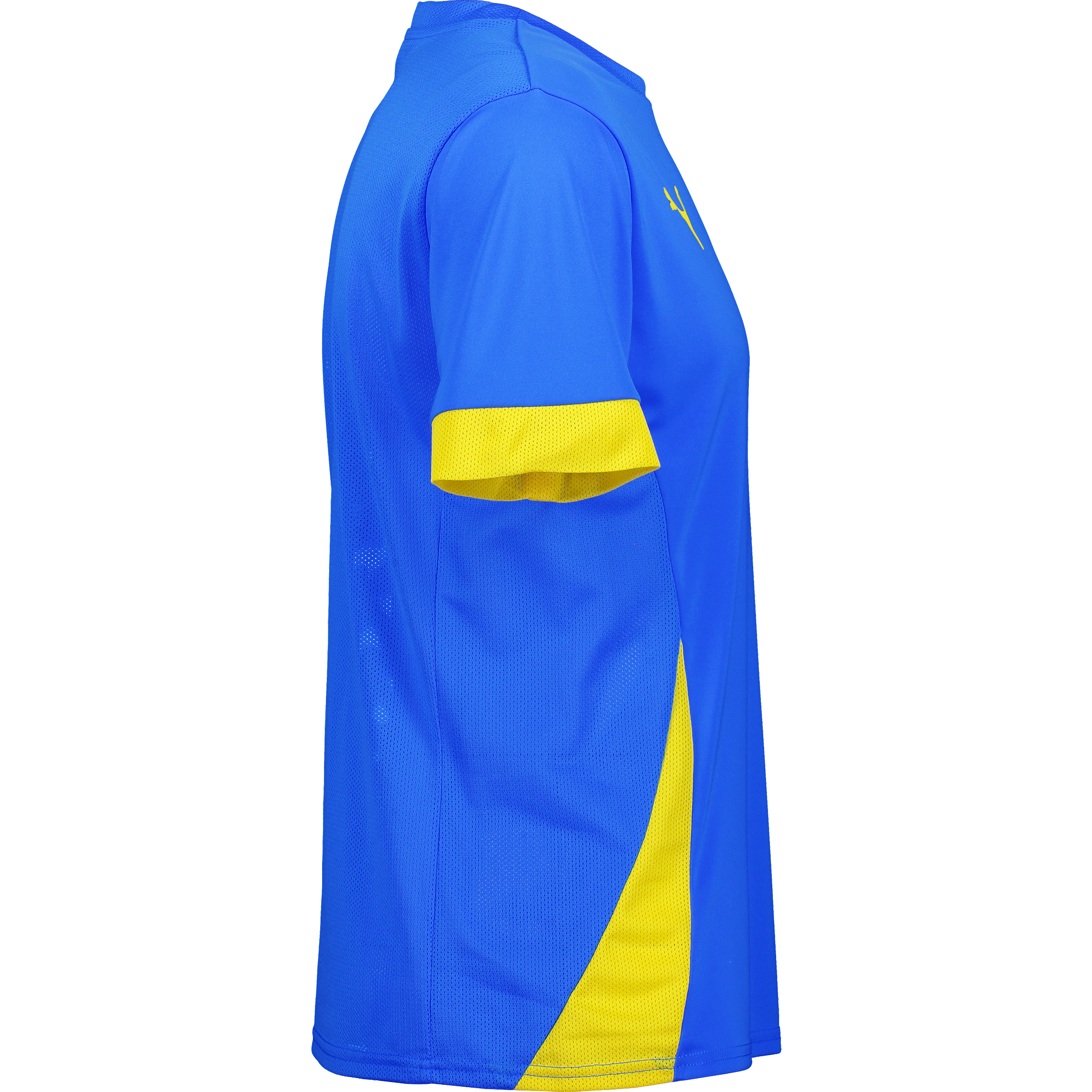 PUMA, T Goal Matchday Jsy Jr