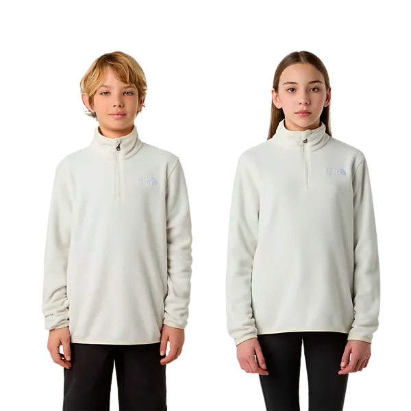 THE NORTH FACE Пуловер с молнией 1/4 J Teen Glacier