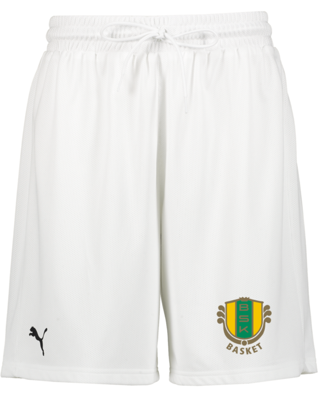 
PUMA, 
Hoops Team Practice Short, 
Detail 1
