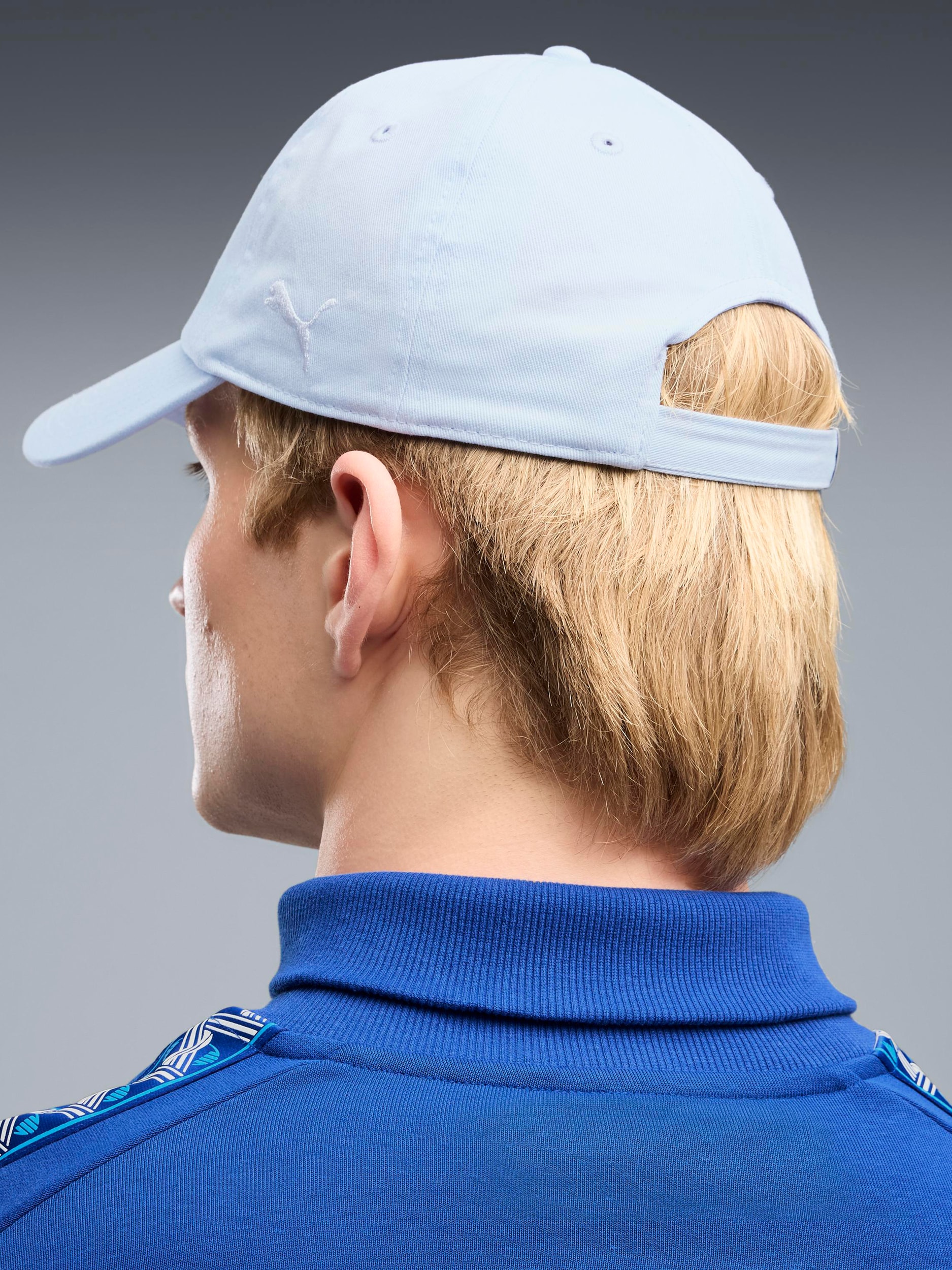 PUMA, MCFC ESS CAP