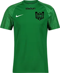366332105101 NIKE Academy Ss Jsy 366332105101 NIKE Academy Ss Jsy Standard Small1x1