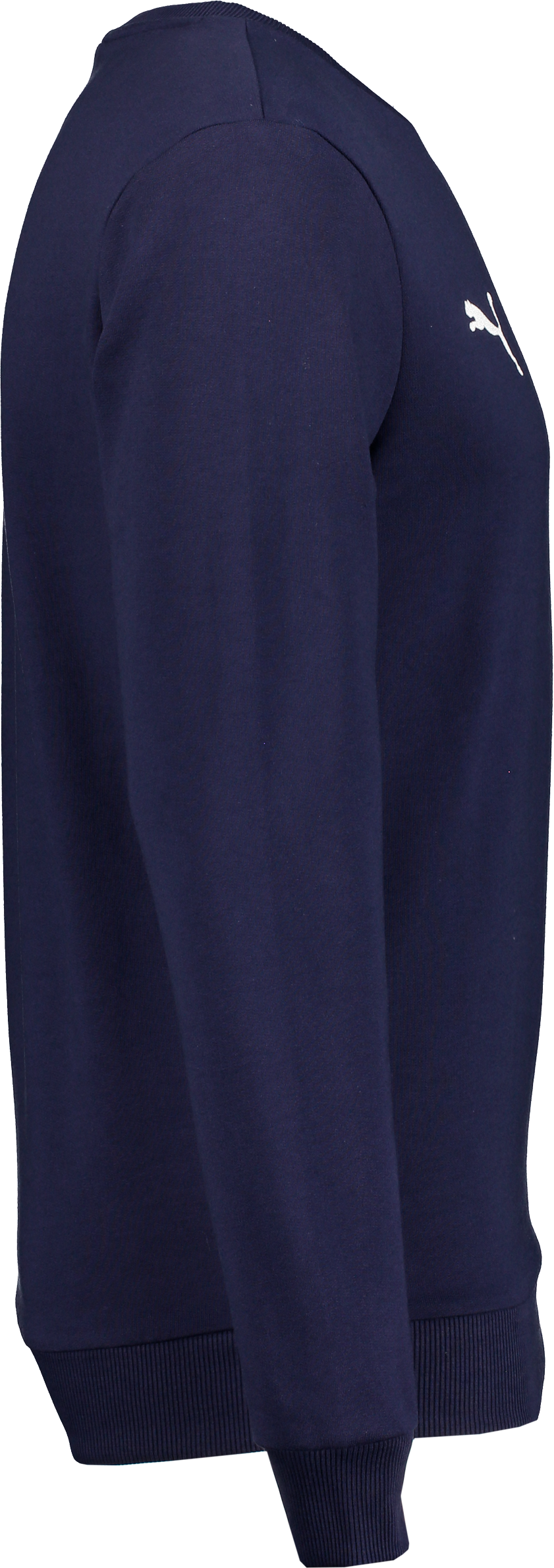 PUMA, T GOAL CAS CREW SWEAT JR