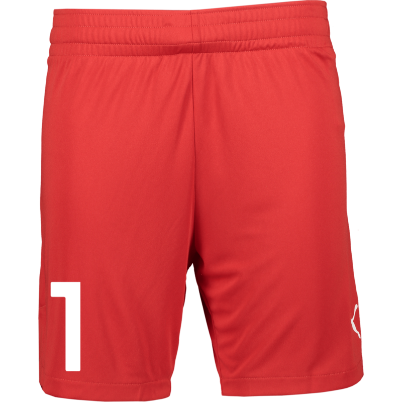 
PUMA, 
TEAMJAWS STARTER SHORTS, 
Detail 1
