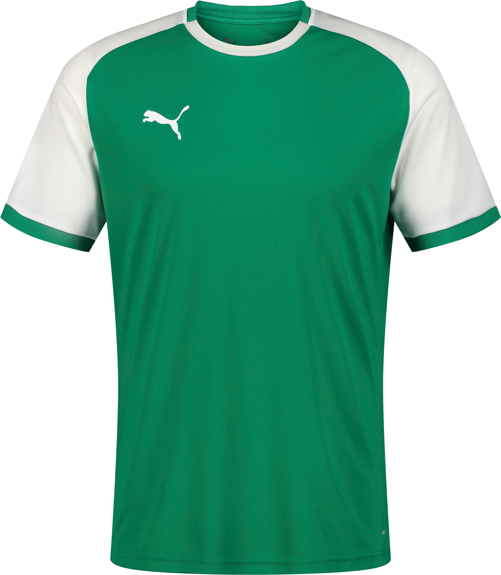 
PUMA, 
TEAMLIGA26 MATCHDAY JERSEY JR, 
Detail 1
