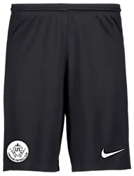 298936101101 NIKE Park III Short 298936101101 NIKE Park III Short Standard Small1x1