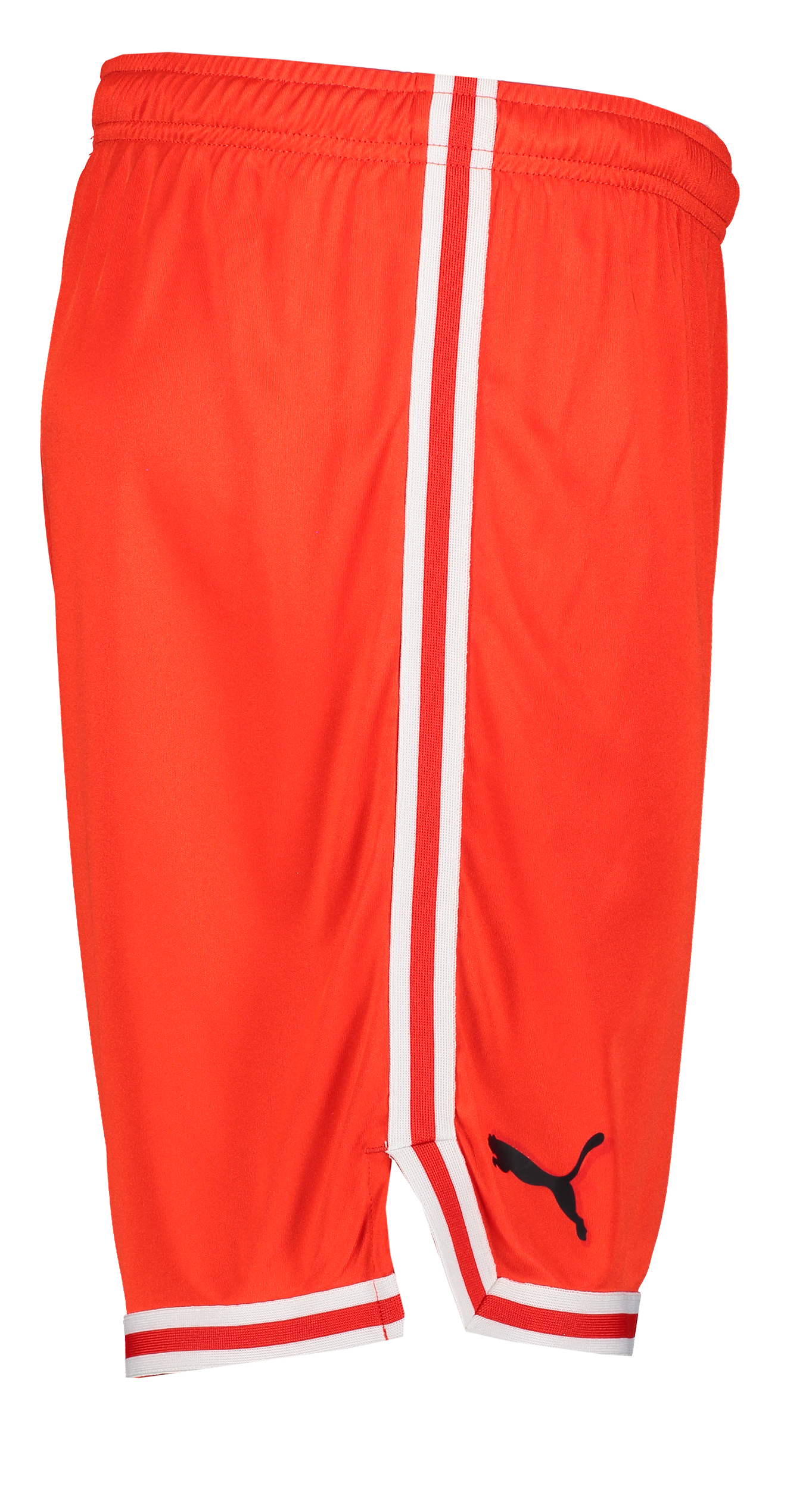 PUMA, Hoops Team Game Short