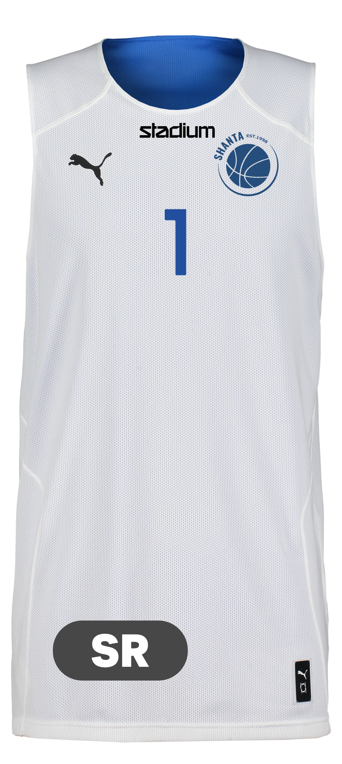 PUMA, Hoops Team Reverse Practice Jersey