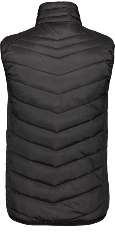 CLIQUE, Idaho Vest