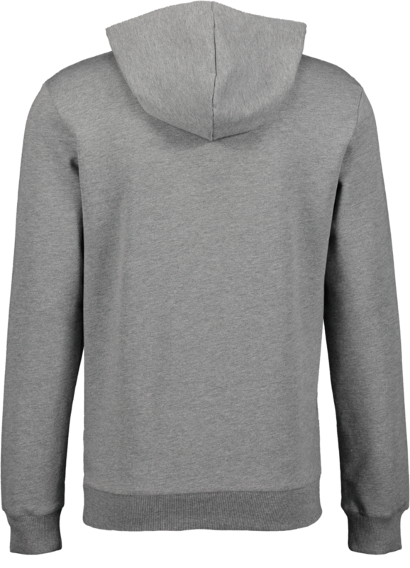 PUMA, T Goal Casual Hood Sr