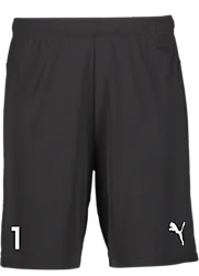 391942103101 PUMA T Goal Shorts 391942103101 PUMA T Goal Shorts Standard Small1x1