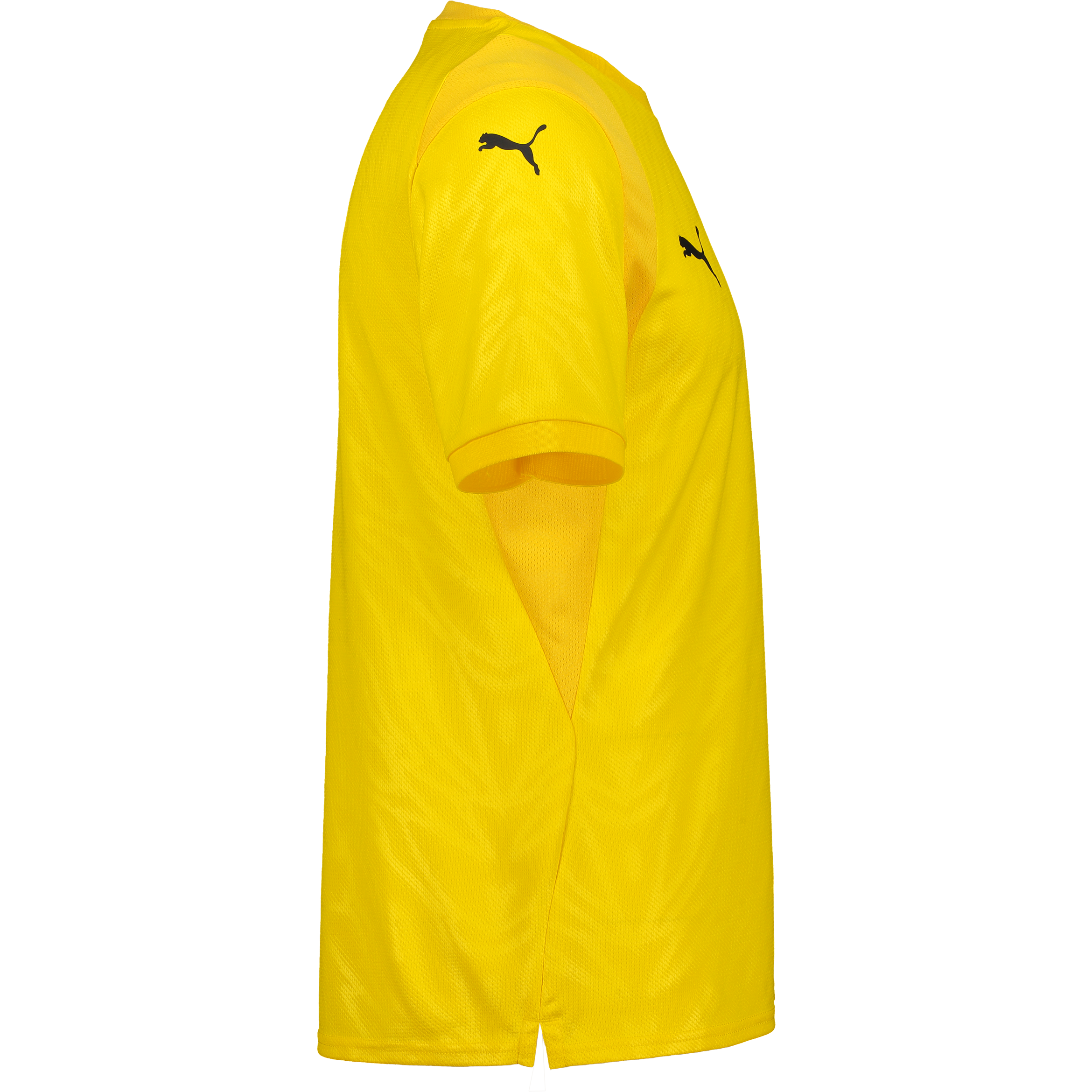 PUMA, Teamcup Jersey