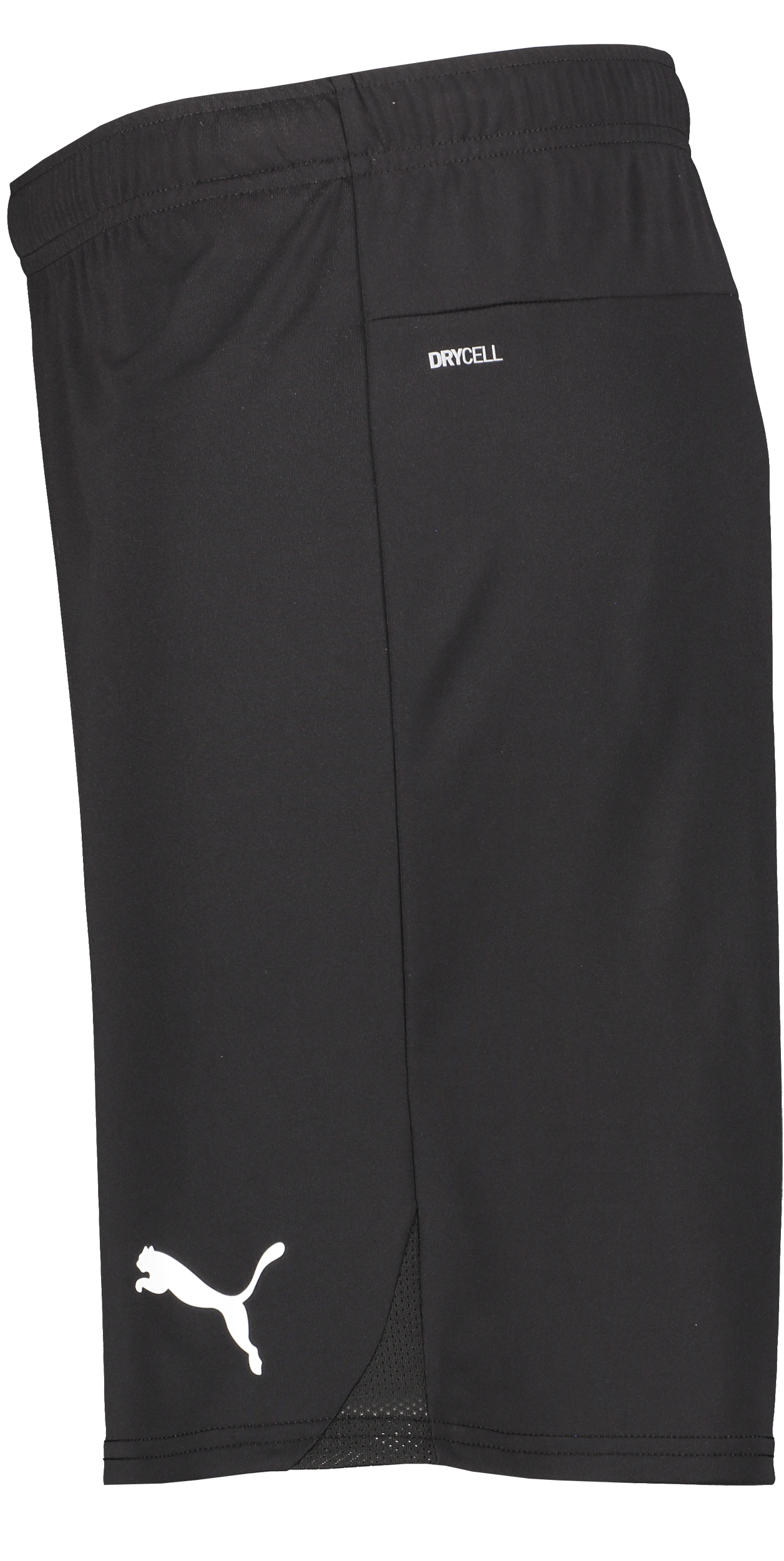 PUMA, T Goal Shorts Jr