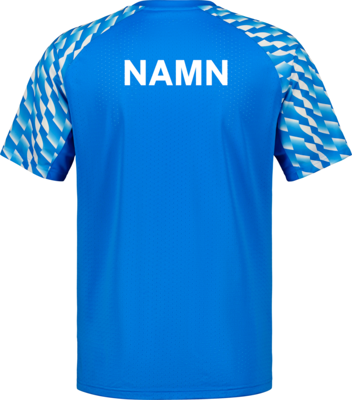 PUMA, TEAMLIGA26 JERSEY JR