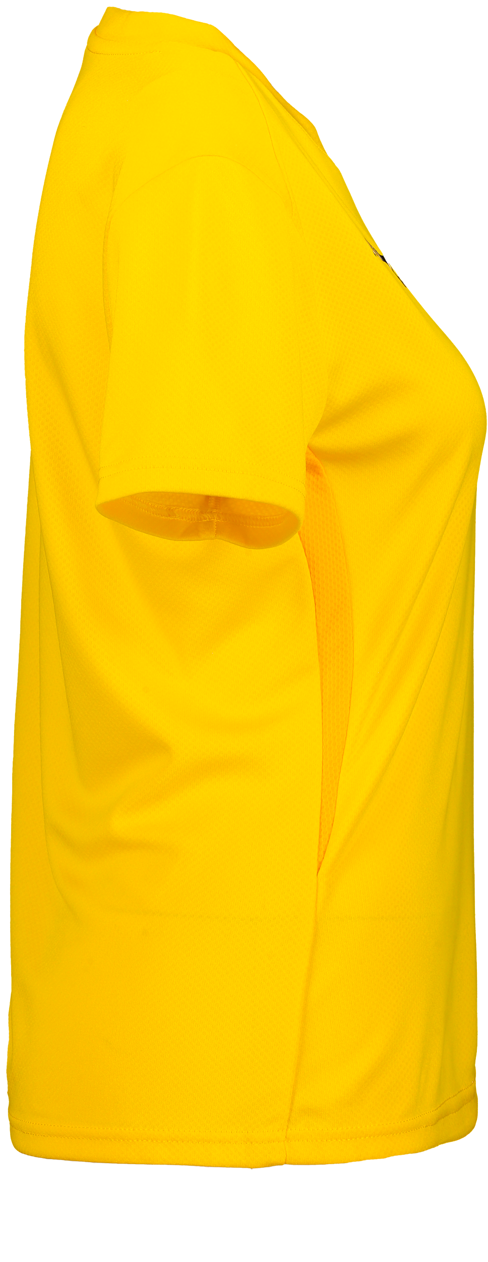 PUMA, T Goal Trg Jsy W