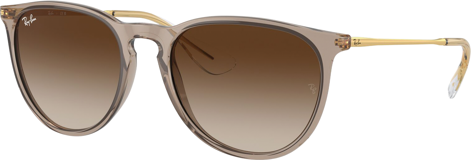 
RAY-BAN, 
ERIKA, 
Detail 1
