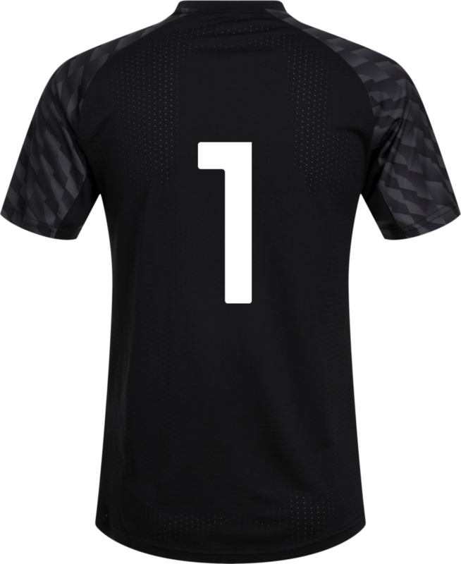 PUMA, TEAMLIGA26 JERSEY JR