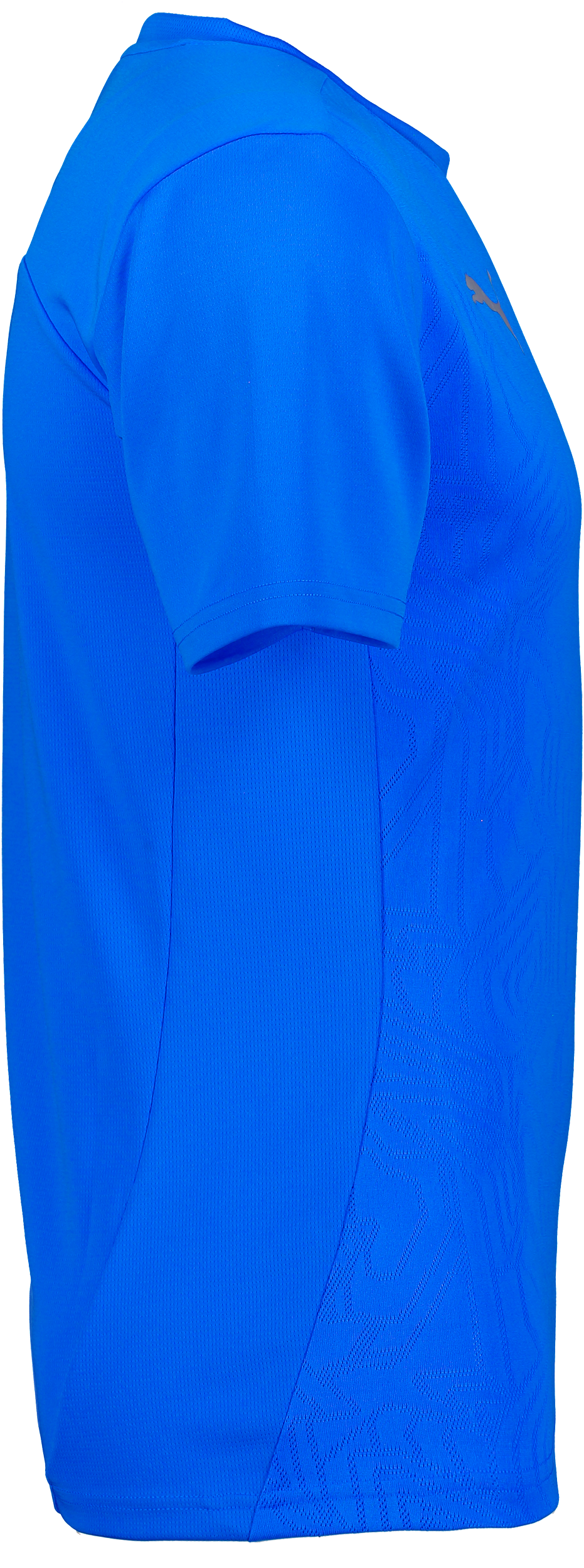 PUMA, T Final Trg Jsy