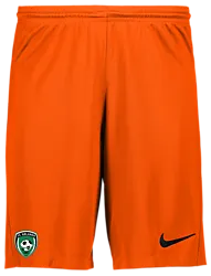 298936115101 NIKE Park III Short 298936115101 NIKE Park III Short Standard Small1x1