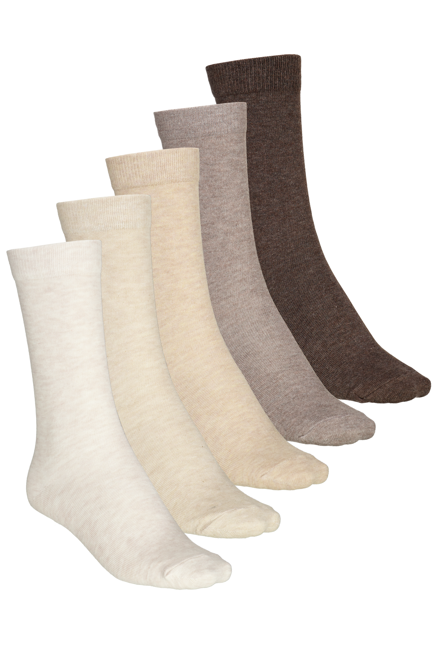 
FRANK DANDY, 
So 5P Colorama U, 
Detail 1
