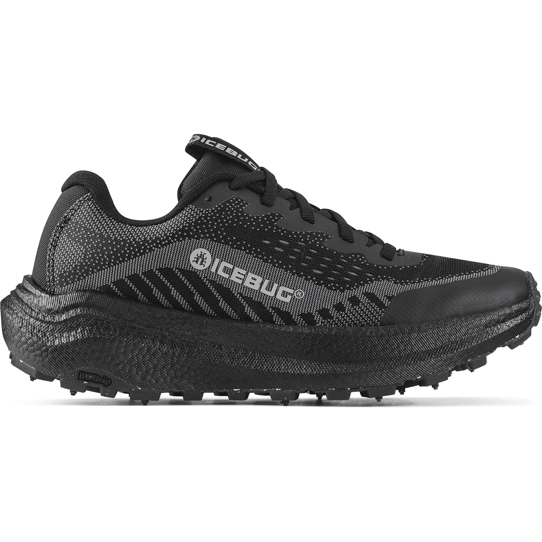 
ICEBUG, 
M Myr Bugrip, 
Detail 1
