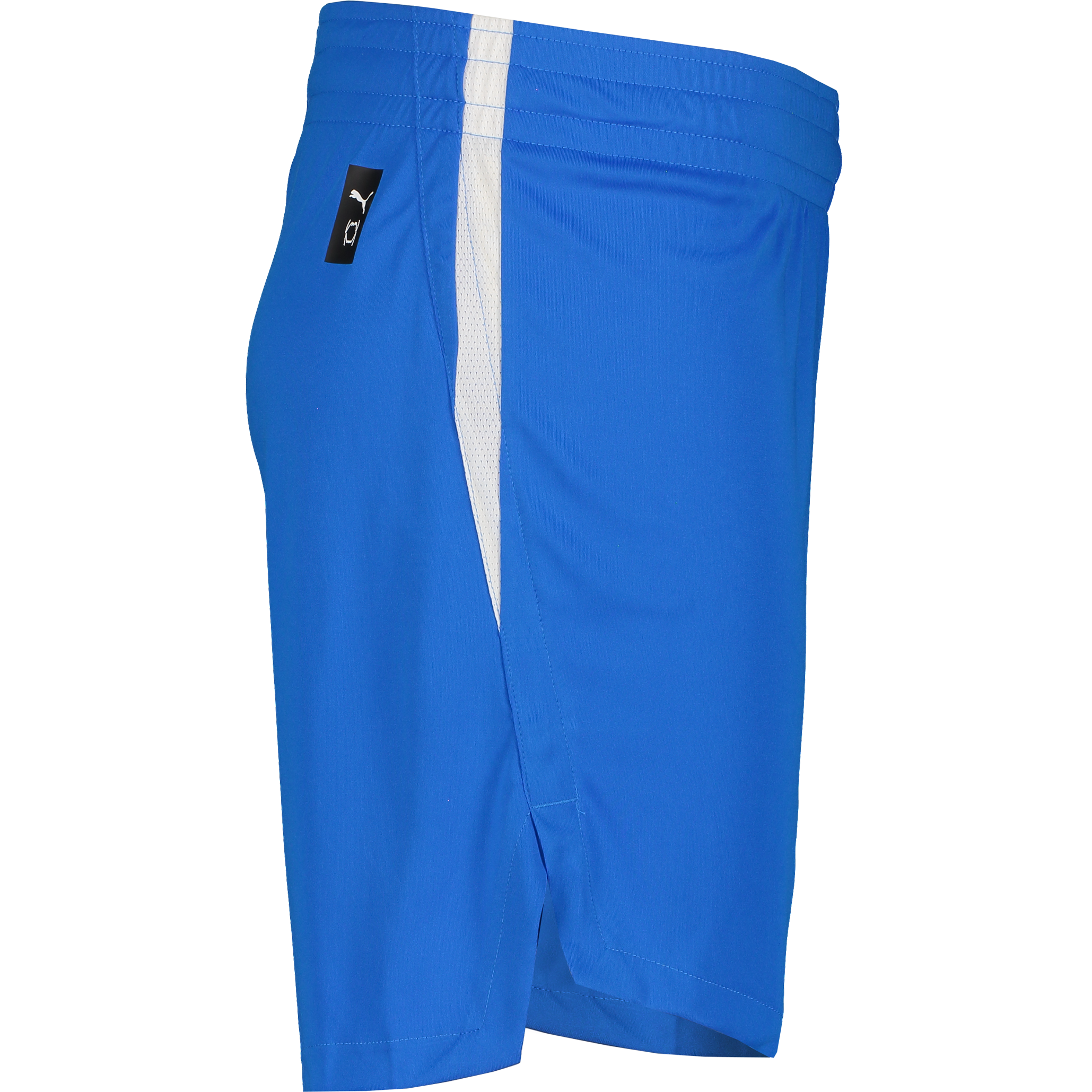 PUMA, TEAMJAWS STARTER SHORTS JR
