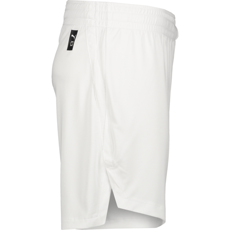 PUMA, TEAMJAWS STARTER SHORTS JR