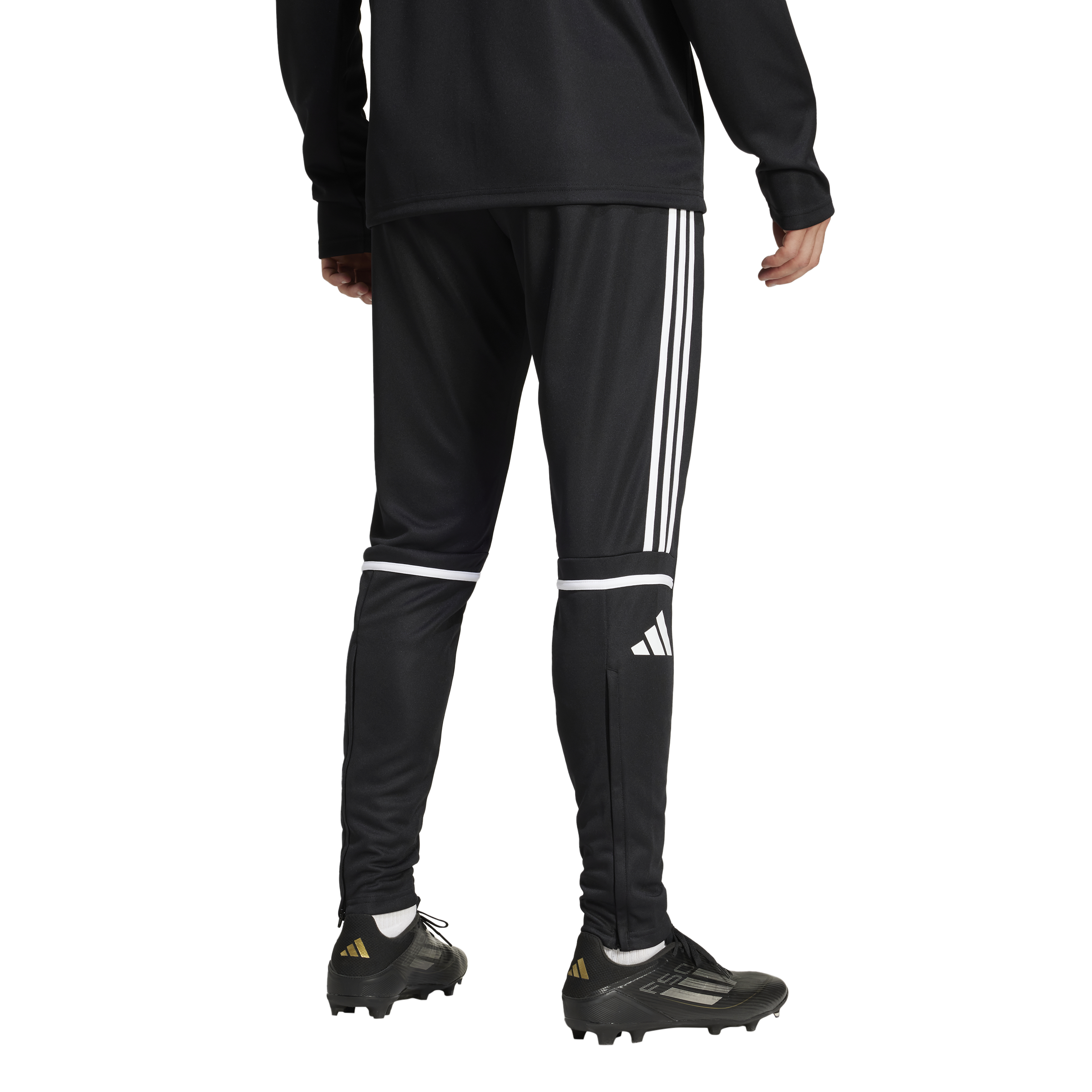 ADIDAS, M Sq25 Tr Pnt