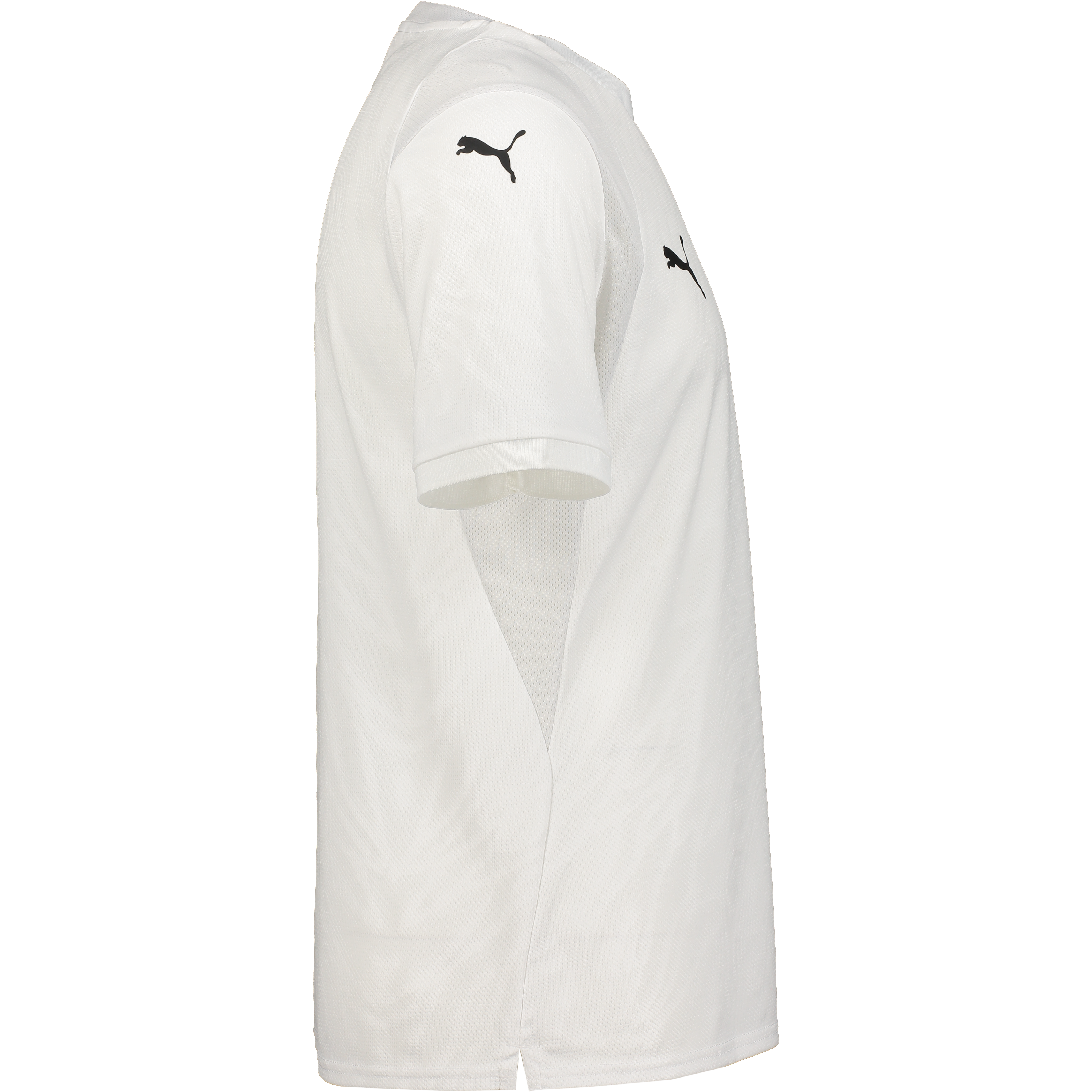 PUMA, Teamcup Jersey